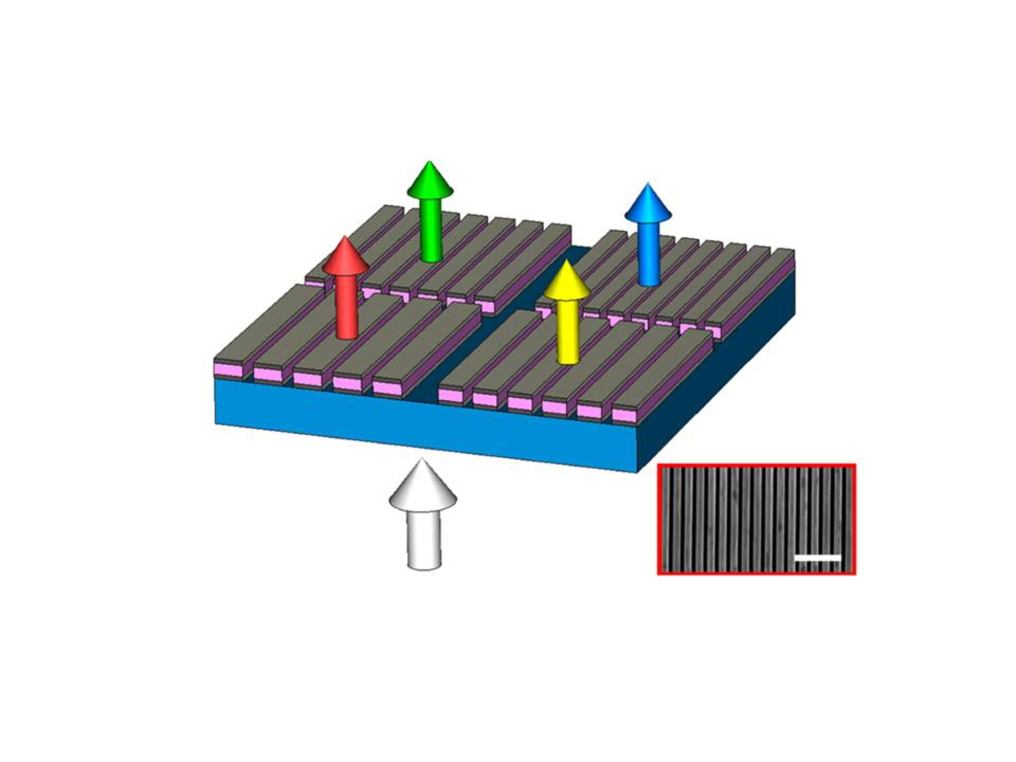 Schematic of color filters made of Plasmonic nano-resonators
(Credit: to L. Jay Guo of University of Michigan)
