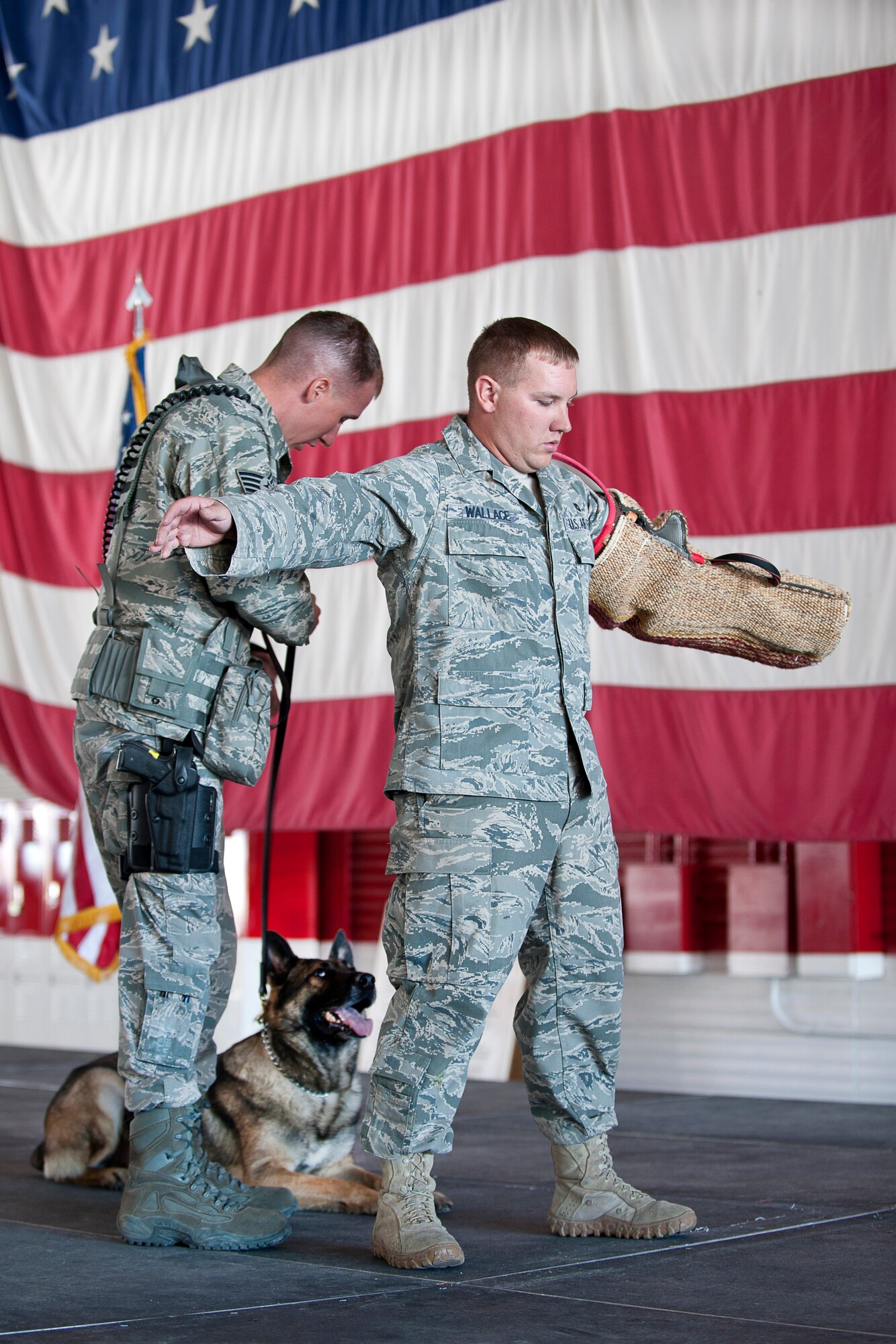 NELLIS AIR FORCE BASE, Nev.-- Members from the 99th Security Forces Squadron perform a K-9 demonstration during the 2010 Retiree Appreciation Day Sept. 25. More than 800 retirees were offered health screenings and enjoyed an explosive ordnance disposal demonstration, entertainment, door prizes and a free lunch at the Thunderbird hangar. (U.S. Air Force photo by Lawrence Crespo)
