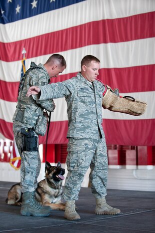 NELLIS AIR FORCE BASE, Nev.-- Members from the 99th Security Forces Squadron perform a K-9 demonstration during the 2010 Retiree Appreciation Day Sept. 25. More than 800 retirees were offered health screenings and enjoyed an explosive ordnance disposal demonstration, entertainment, door prizes and a free lunch at the Thunderbird hangar. (U.S. Air Force photo by Lawrence Crespo)
