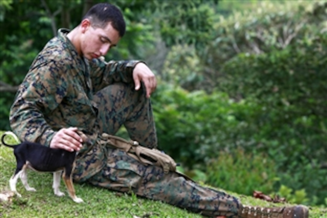 U.S. Marine Corps Lance Cpl. Alejandro Matuska pets a Nicaraguan farmer's puppy as he takes a moment's rest on a hill side outside Bluefields, Nicaragua, Sept. 21, 2010. Matuska is assigned to Special-Purpose Marine Air-Ground Task Force Continuing Promise 2010. 
