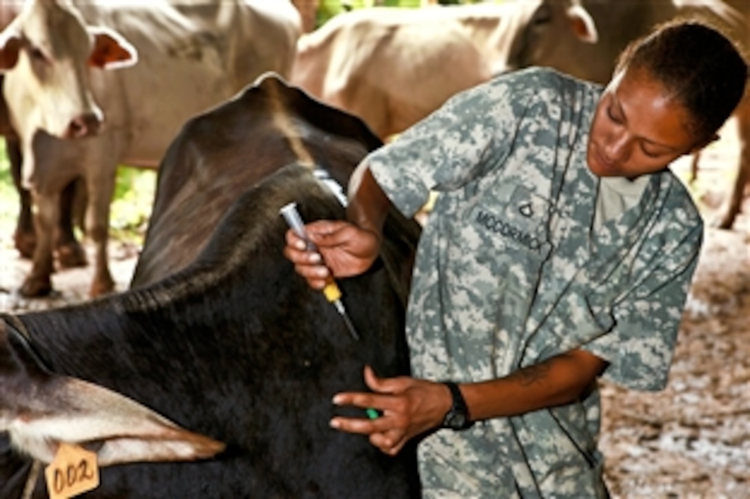 U.S. Army Pfc. Angela M. McCormick vaccinates a cow on a farm outside Bluefields, Nicaragua, Sept. 21, 2010. Troops and civilians are participating in Operation Continuing Promise to provide medical, dental, veterinary, engineering assistance and subject-matter exchanges to the Caribbean, Central and South America. McCormick is a veterinary assistant. McCormick is embarked aboard the amphibious assault ship USS Iwo Jima.