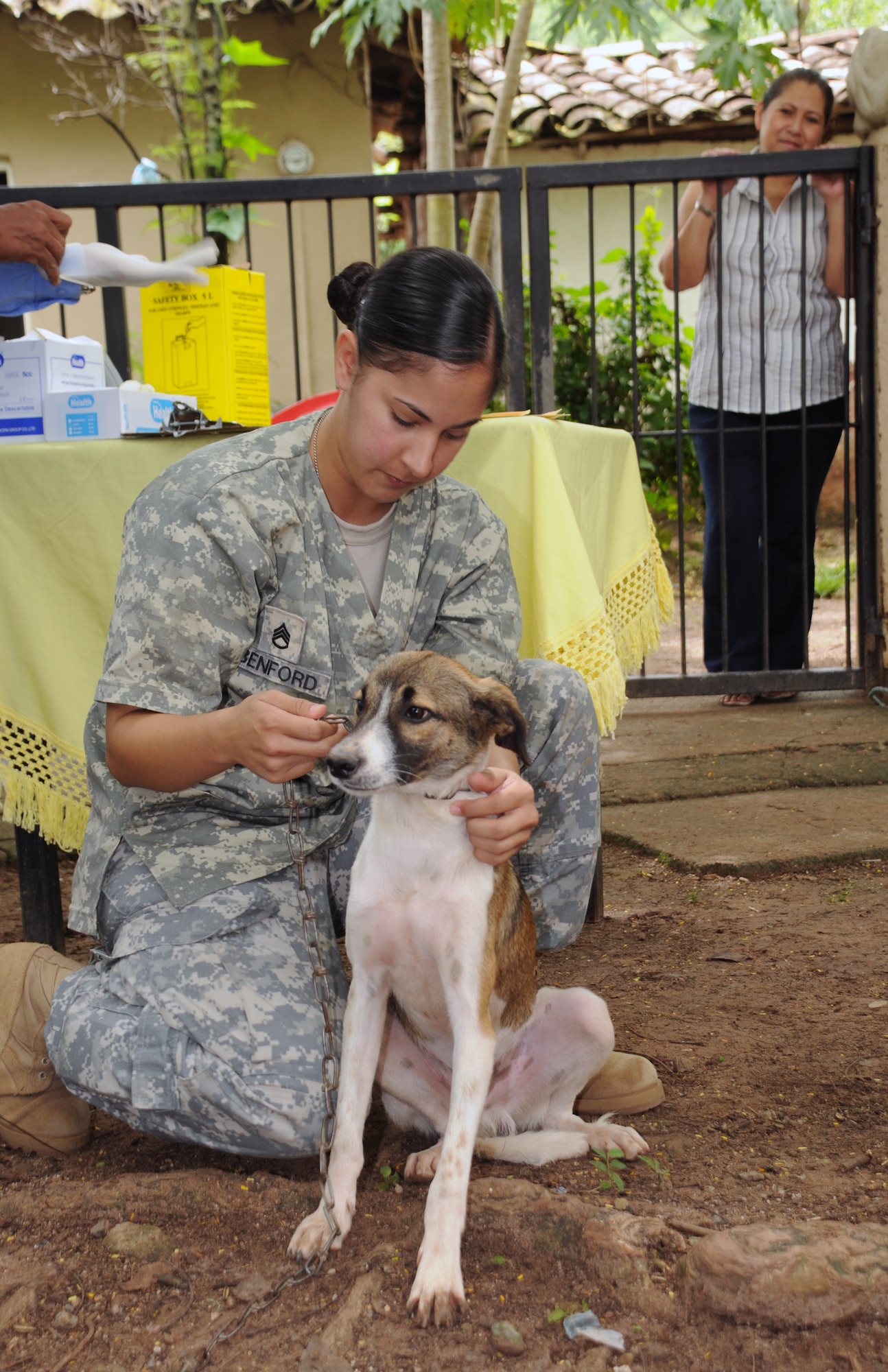 AGUA SALADA, Honduras --  Petting a dog to calm it down, Staff Sgt. Michelle Benford, of the Joint Task Force-Bravo Medical Element, prepares the animal to receive a shot during a medical readiness training exercise here Sept. 28. Veterinary service providers, including Sergeant Benford, provided 12 animals with rabies vaccinations during the exercise here. (U.S. Air Force photo/Tech. Sgt. Benjamin Rojek)