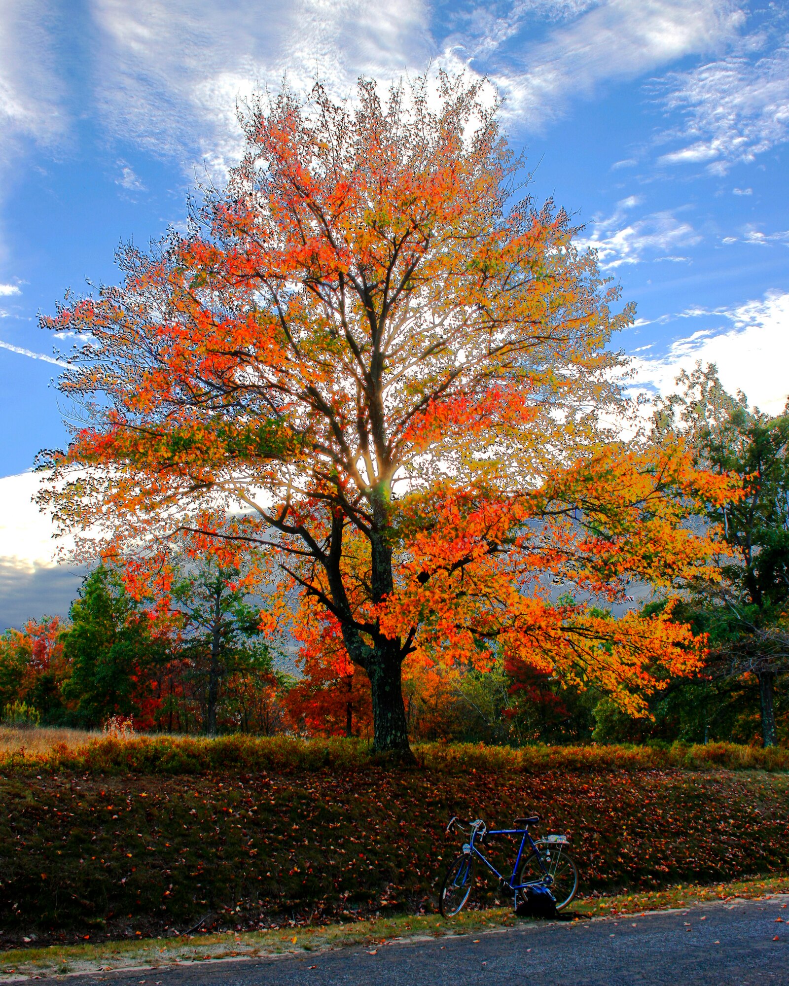 Scenic hiking trails and paved bike paths abound in Quabbin Park, located at the southern end of the reservoir, affording many opportunities to stay fit and enjoy the New England fall folliage.  (Photo Illustration by Tech. Sgt. Timm Huffman)