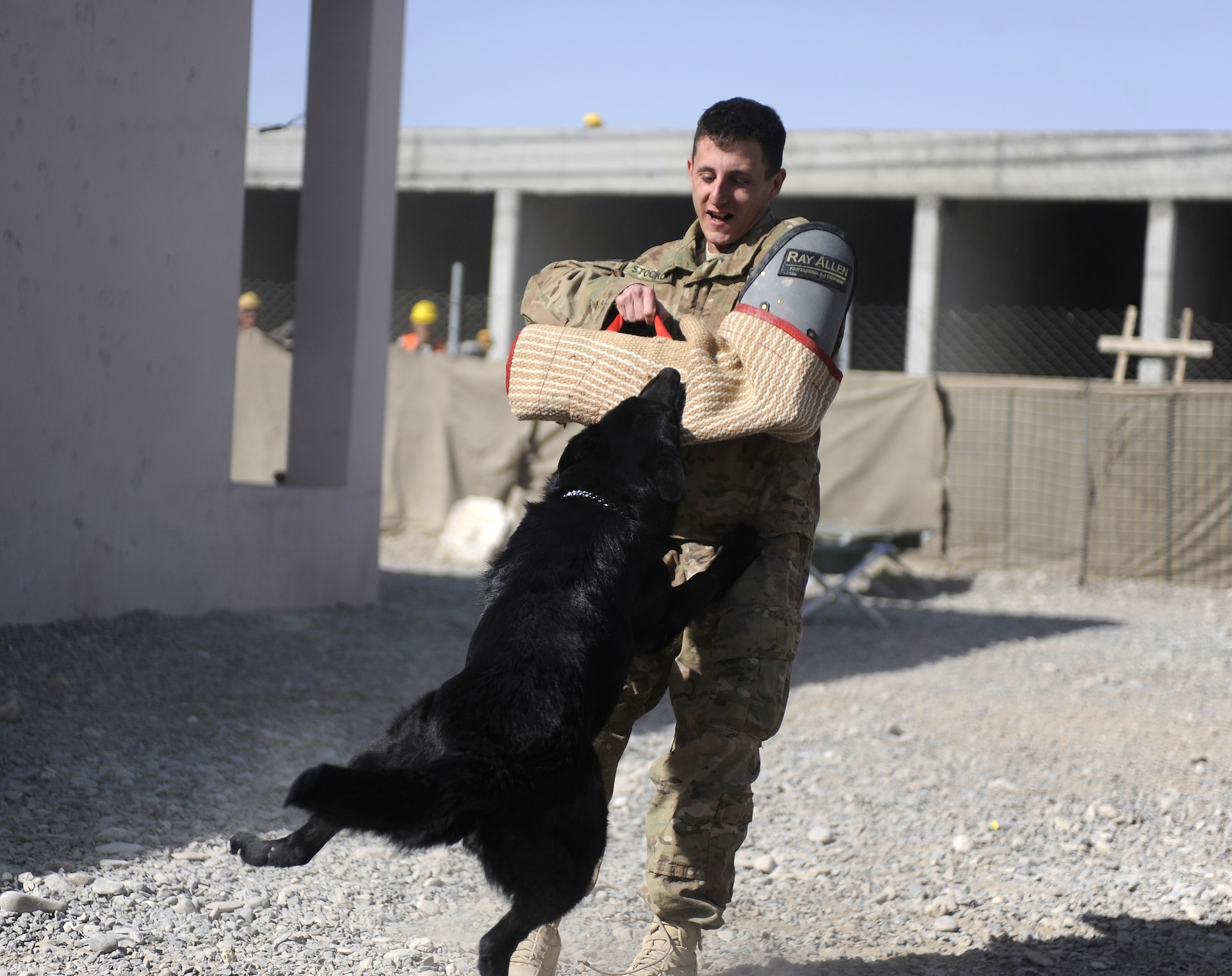 Staff Sgt. Ryan Stocklin catches military working dog Candy during a demonstration April 1, 2011, Kandahar Airfield, Afghanistan. At KAF, military working dogs are trained to find explosives, drugs and landmines and some are patrol and attack dogs. Sergeant Stocklin is a dog handler assigned to the 466th Air Expeditionary Squadron. (U.S. Air Force photo/Senior Airman Willard E. Grande II)