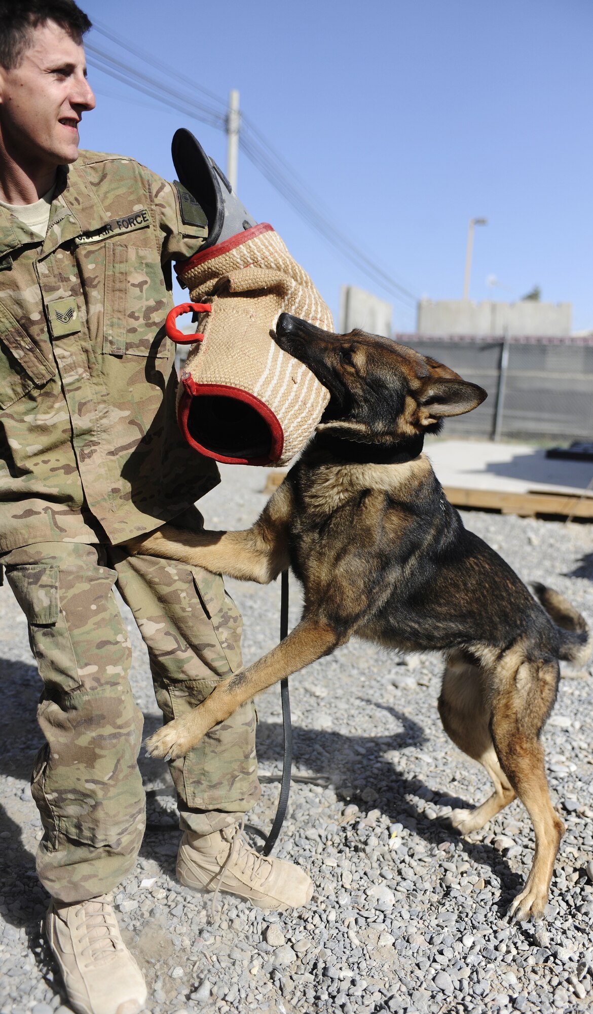Staff Sgt. Ryan Stocklin catches military working dog Riso during a demonstration April 1, 2011, Kandahar Airfield, Afghanistan. At KAF, military working dogs are trained to find explosives, drugs and landmines and some are patrol and attack dogs. Sergeant Stocklin is a dog handler assigned to the 466th Air Expeditionary Squadron. (U.S. Air Force photo/Senior Airman Willard E. Grande II)