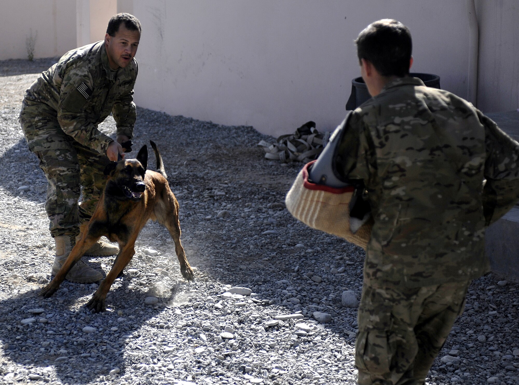 Staff Sgt. William Taulbee holds back military working dog Gaskson during a demonstration April 1, 2011, Kandahar Airfield, Afghanistan. At KAF, military working dogs are trained to find explosives, drugs and landmines and some are patrol and attack dogs. Sergeant Taulbee is a dog handler assigned to the 466th Air Expeditionary Squadron. (U.S. Air Force photo/Senior Airman Willard E. Grande II)