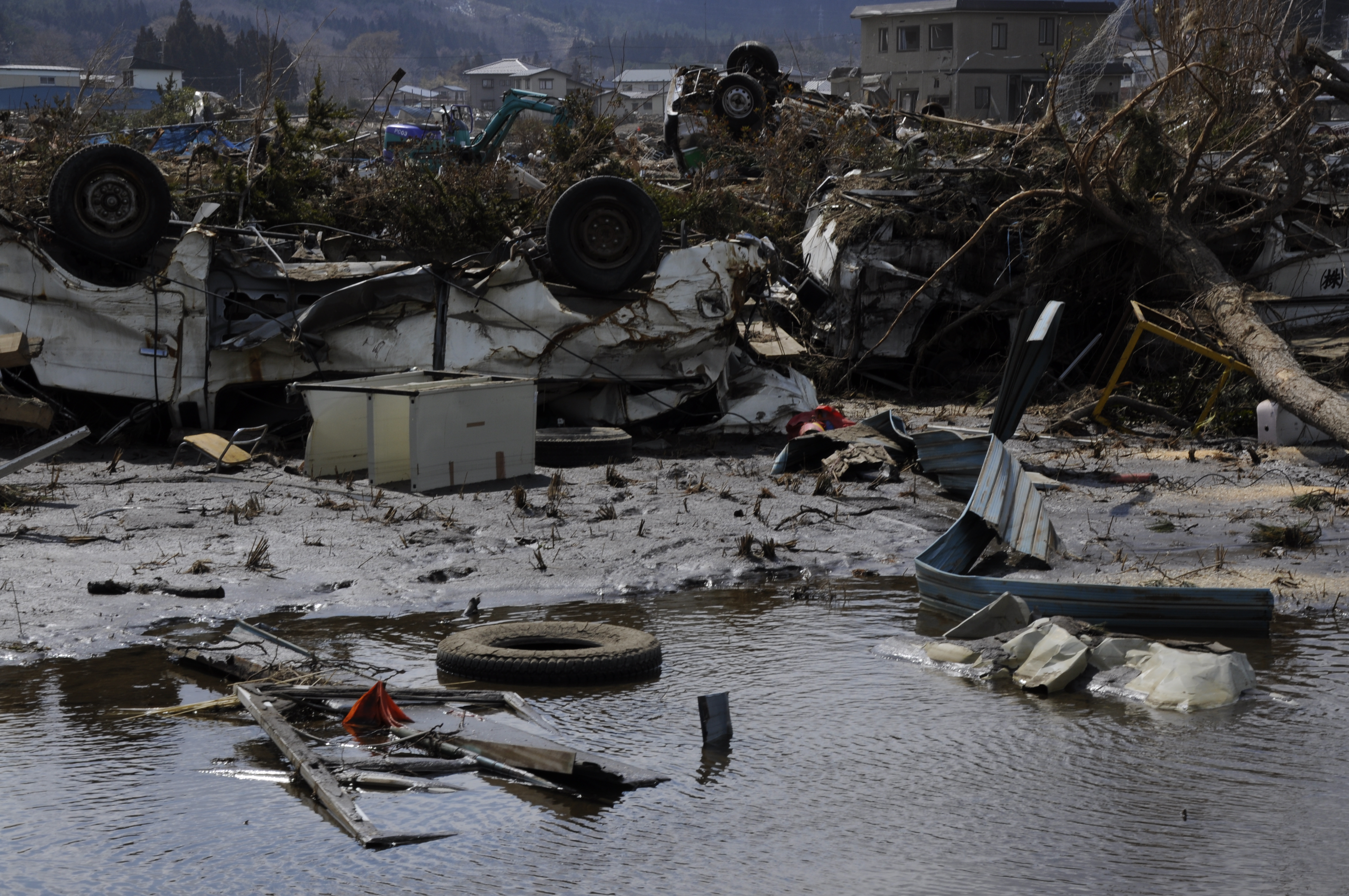 Earthquake essay for kids image