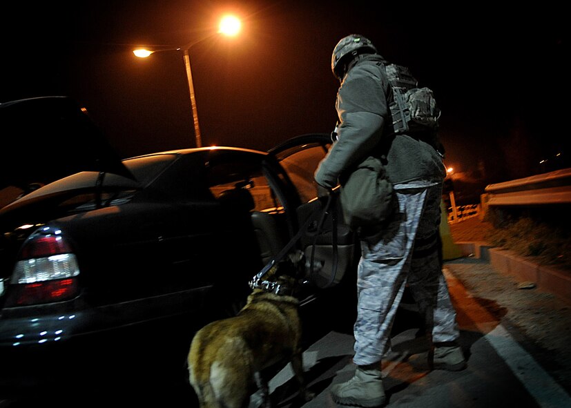 Staff Sgt. Rufus Watson, 51st Security Forces Squadron,inspects a vehicle at Osan Air Base, Republic of Korea, April 3.  The base is practicing increased security measures during the 2011 Korea Pacific Air Forces Command Operational Readiness Inspection.  An ORI is conducted to evaluate and measure the ability of units with a wartime, contingency orforce sustainment mission to perform operations plan and assigned tasks.  Inspectable areas include initial response, employment, mission support and Ability-to-Survive and Operate in a chemical environment. The 2011 Korea PACAF ORI is scheduled for April 2-11.  (U.S. Air Force Photo by Senior Airman Evelyn Chavez)