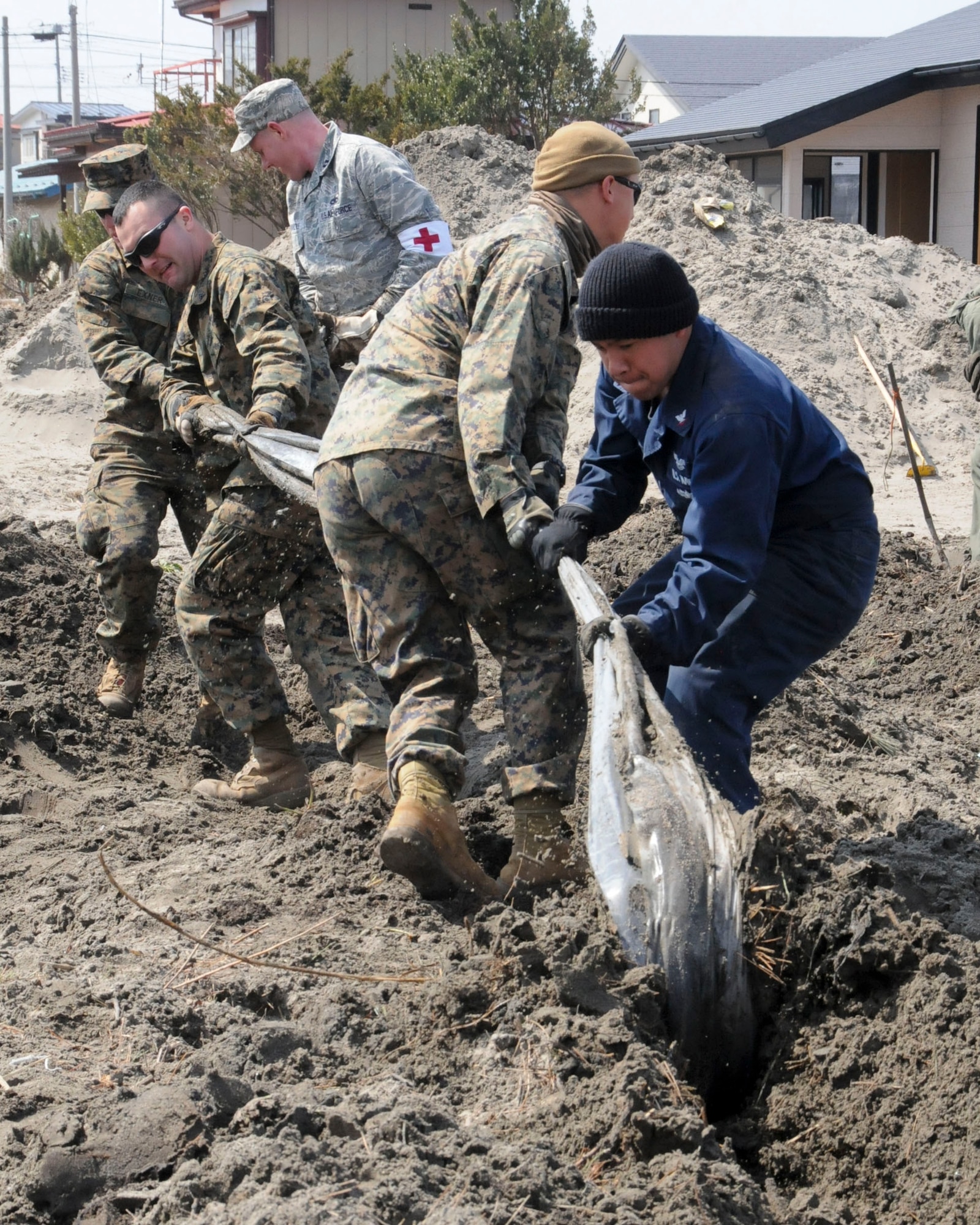 HACHINOHE, Japan -- U.S. military members from the Navy, Marine Corp and Air Force work together to free a plastic sheet from mud and sand at a strawberry farm, here April 1. Misawa Helps, a command-sponsored volunteer project, has been organizing clean-up projects in local communities to help those affected by the March 11 earthquake and tsunami. (U.S. Air Force photo by Staff Sgt. Rachel Martinez/Released)
