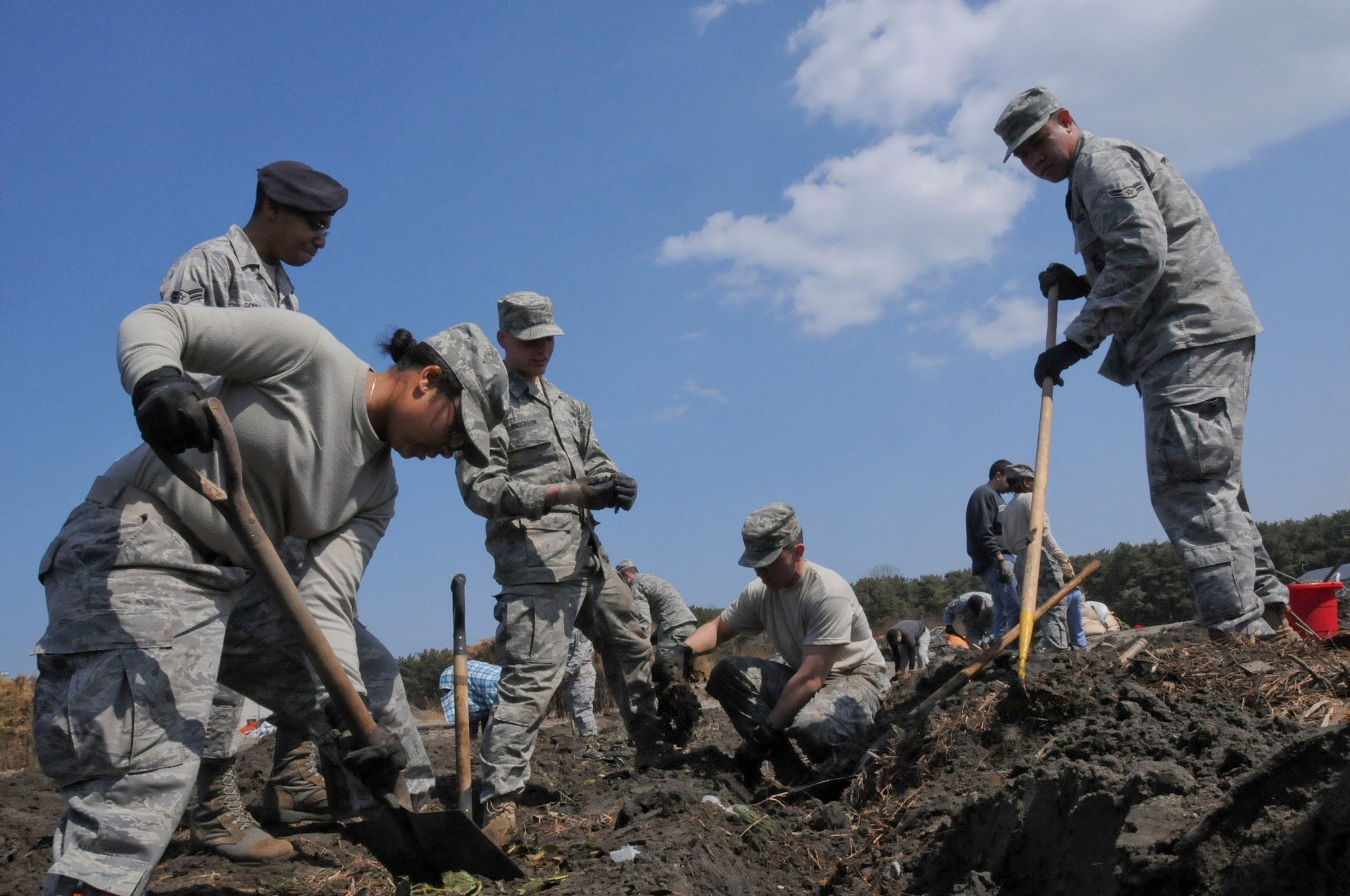 HACHINOHE, Japan -- U.S. Air Force Airmen from Misawa Air Base uncover rows of strawberries at a farm, here April 1. A tsunami, triggered by the March 11 earthquake, flooded this coastal area where base volunteers spent the week cleaning up local farms. (U.S. Air Force photo by Staff Sgt. Rachel Martinez/Released)