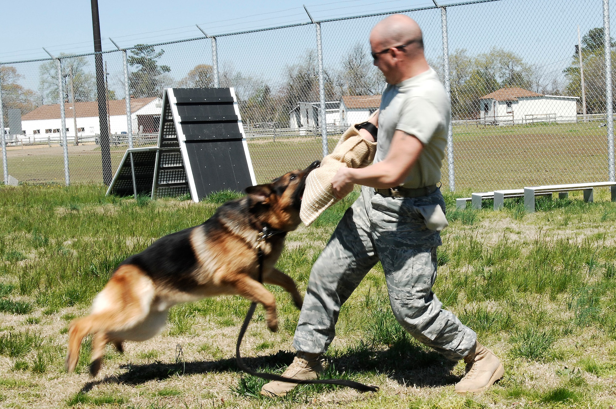 Drak, military working dog, demonstrates an attacking movement on Staff Sgt. David Garver, 633d Security Forces Squadron military working dog trainer, during validation training at Langley Air Force Base, Va., April 6, 2011.  Langley AFB dog handlers conduct validation training with their military working dogs in order to evaluate the dog’s ability to patrol and detect threats while also protecting service members from hazards in the field. (U.S. Air Force photo by Airman 1st Kayla Newman/Released)