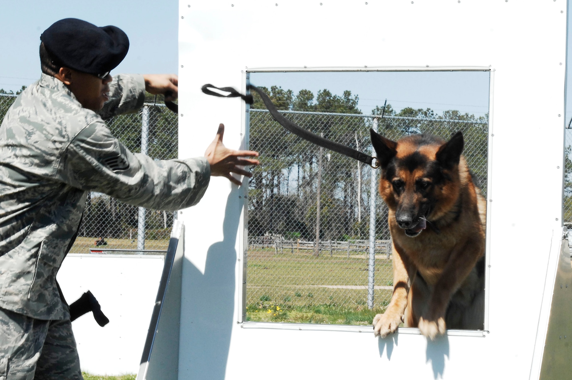 Staff Sgt. Jonathan Bourgeois, 633d Security Forces squadron military working dog trainer, guides Drak, military working dog, through an obstacle course during validation training at Langley Air Force Base, Va., April 6, 2011. This training is designed to ensure each dog is adequately trained to protect service members from hazards in the field. (U.S. Air Force photo by Airman 1st Kayla Newman/Released)