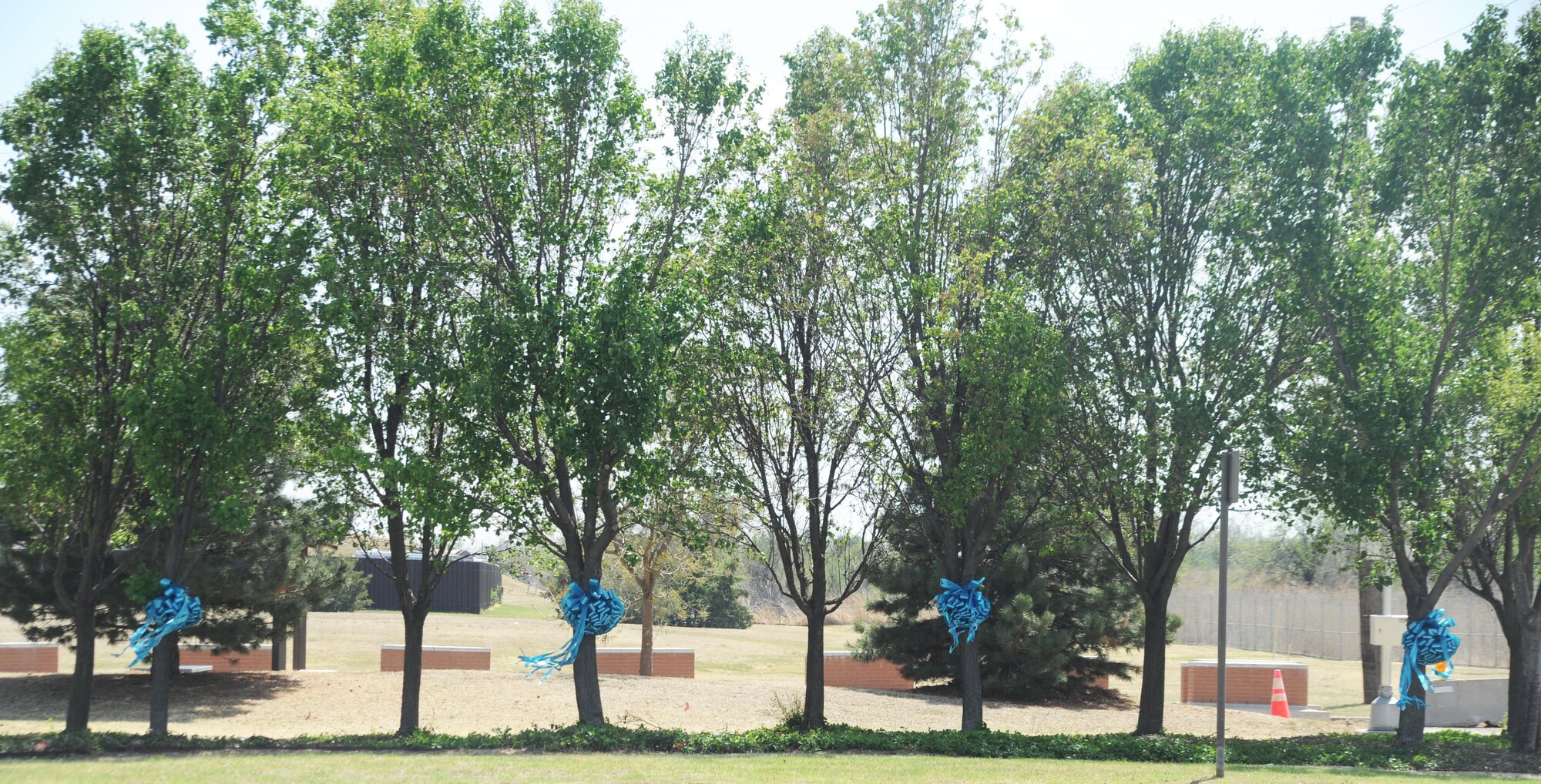 ALTUS AIR FORCE BASE, Okla. – Ribbons are displayed on trees near the front gate to raise awareness against sexual assault April 7. Windy Trails Golf Course hosted a tournament April 8 to raise money for the Southwest Oklahoma Associated Christian Ministry Incorporated house. April is Sexual Assault Awareness Month. (U.S. Air Force photo by Airman 1st Class Myles Stepp / Released 97th Air Mobility Wing Public Affairs)