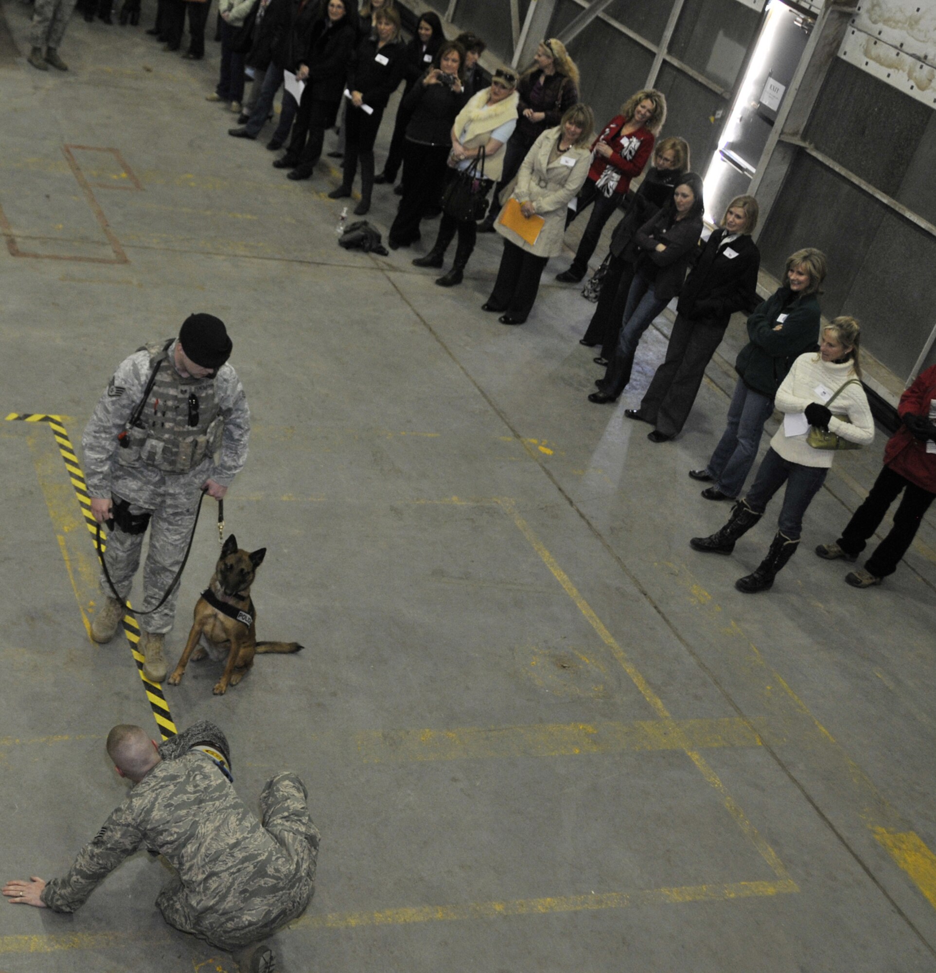 Members of Malmstrom’s K-9 unit demonstrate attack procedures to ladies of the Civ-Aires group during a visit to the base April 5.   (U.S. Air Force photo/Beau Wade)