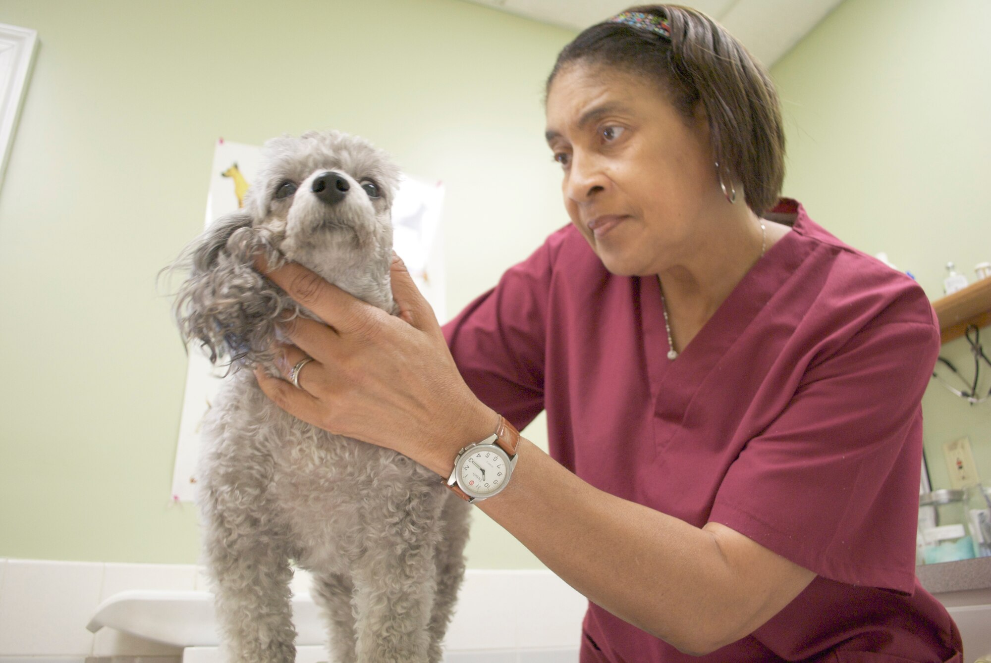 Veterinary technician Linda Smith gives a thorough checkup to her K-9 friend. The vet clinic offers services for pets of military members and military working dogs. (Air Force photo/Christopher Kratzer)