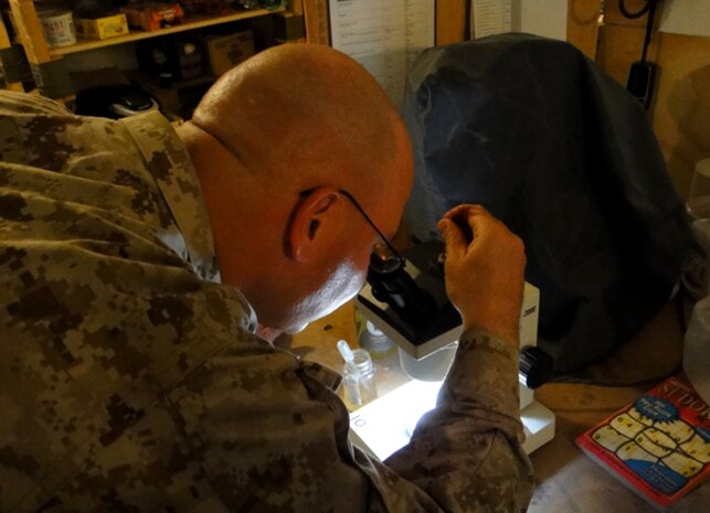 Lt. Joseph W. Diclaro II, from Beckley, Wyo., a medical entomologist with the Public Health and Preventive Medicine Detachment, Alpha Surgical Company, 2nd Marine Logistics Group (Forward), observes through a microscope mosquitoes and larvae collected May 20, 2011, aboard Camp Leatherneck, Afghanistan. The crew sets the traps up in strategic places where they suspect insects will breed to collect data and prevent further reproduction and infection effecting troops supporting International Security Assistance Force operations.
