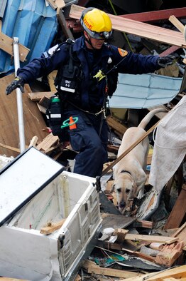 A firefighter with CA-TF2 and his live-human scent working dog search debris for tsunami victims during a search and recovery mission in Ofunato, Japan on March 15, 2011.  The Los Angeles County Fire Urban Search and Rescue Team, Task Force 2, travelled with the 452nd Air Mobility Wing, March Air Reserve Base, Calif., to the earthquake and tsunami stricken areas of Japan just four days after the devastation.  (U.S. Air Force photo/Technical Sgt. Daniel St. Pierre)