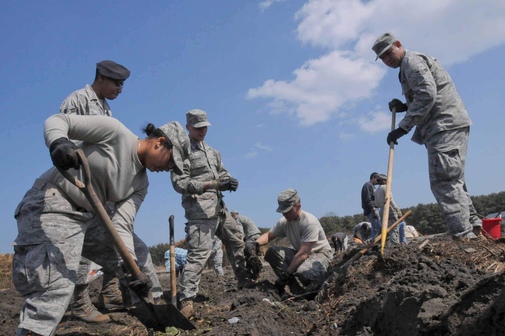 Airmen uncover rows of strawberries  April 1, 2011 at a farm near Misawa Air Base, Japan. A tsunami, triggered by the March 11 earthquake, flooded this coastal area where base volunteers spent the week cleaning up local farms. (U.S. Air Force photo/Staff Sgt. Rachel Martinez)