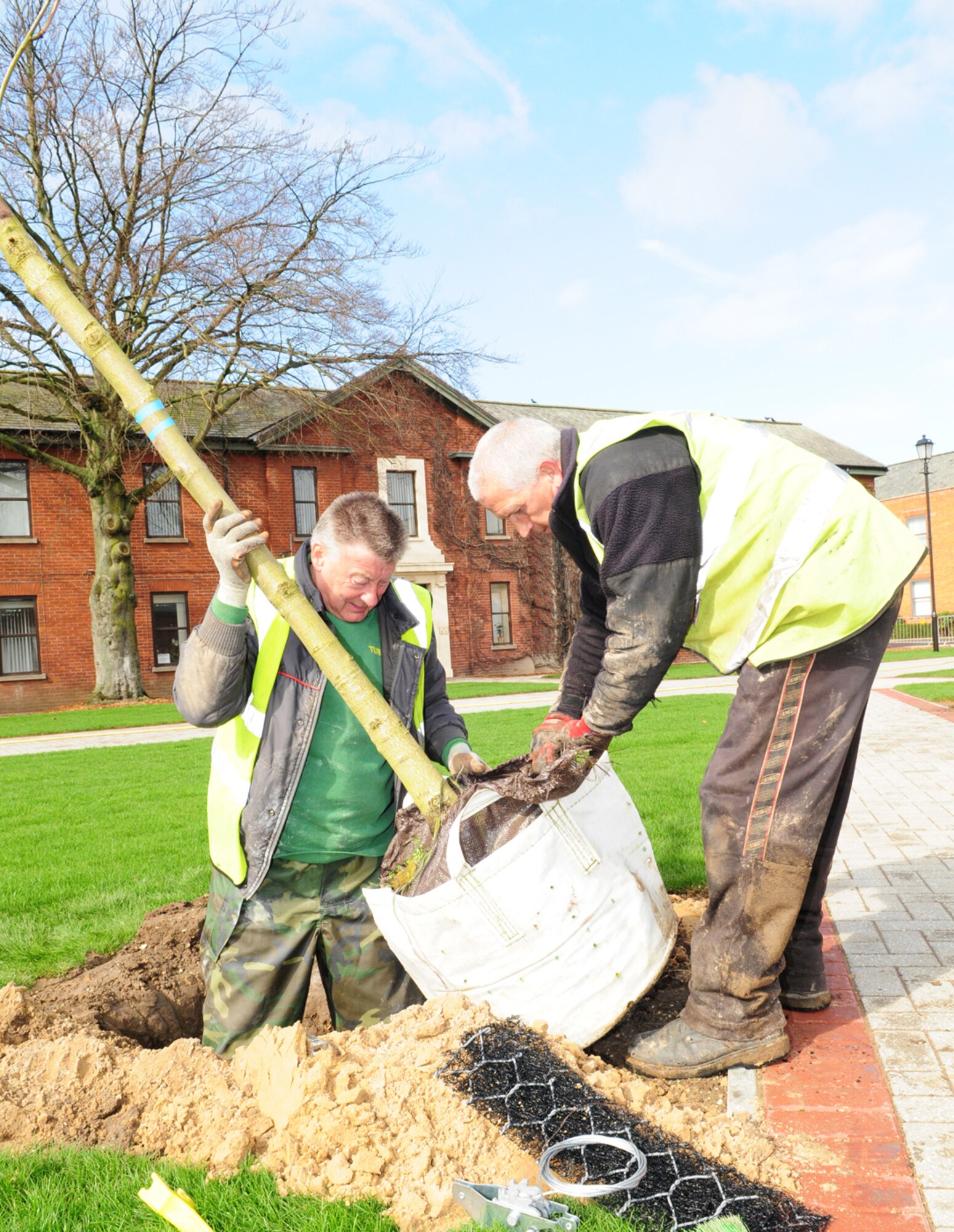 RAF MILDENHALL, England -- Des Cook and Charlie Robertson, both contractors, pull the protective packaging off the roots of a tree to prepare it for planting in Washington Square March 31, 2011. Almost 20 young trees are being planted in the newly-landscaped and pedestrianized area, which is almost complete. (U.S. Air Force photo/Karen Abeyasekere)
