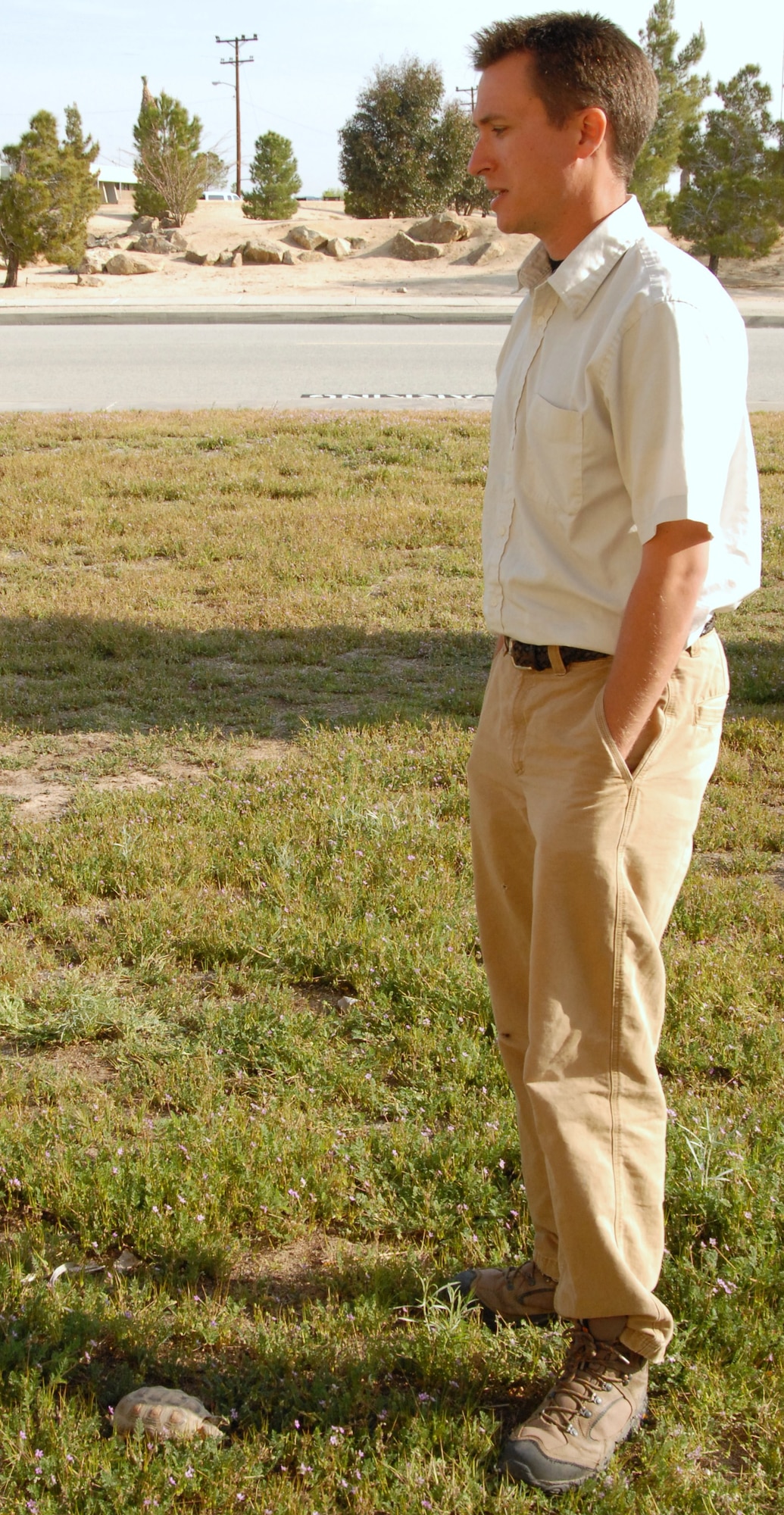 Biologist Chris Herbst from Environment Management stands over Sheldon, a captive desert tortoise who lives in the customer service area of Bldg. 2650A.
Desert tortoises that are captive like Sheldon must remain captive under federal law. Sheldon can be adopted through EM’s Desert Tortoise Adoption Program. (Air Force photo by Kenji Thuloweit)