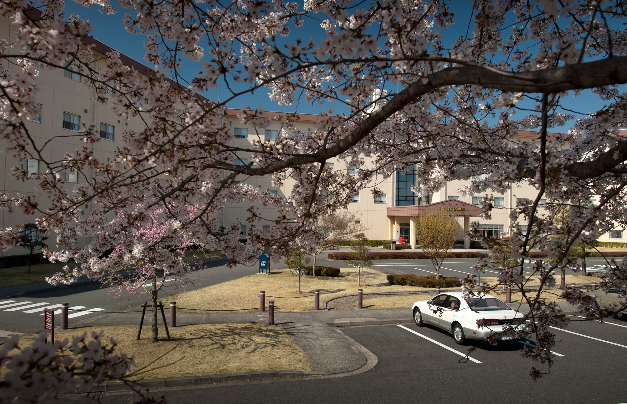 YOKOTA AIR BASE, Japan -- Cherry blossoms bloom outside the Kanto Lodge, Yokota Air Base, Japan, April 13, 2011. (U.S. Air Force photo/Staff Sgt. Samuel Morse)