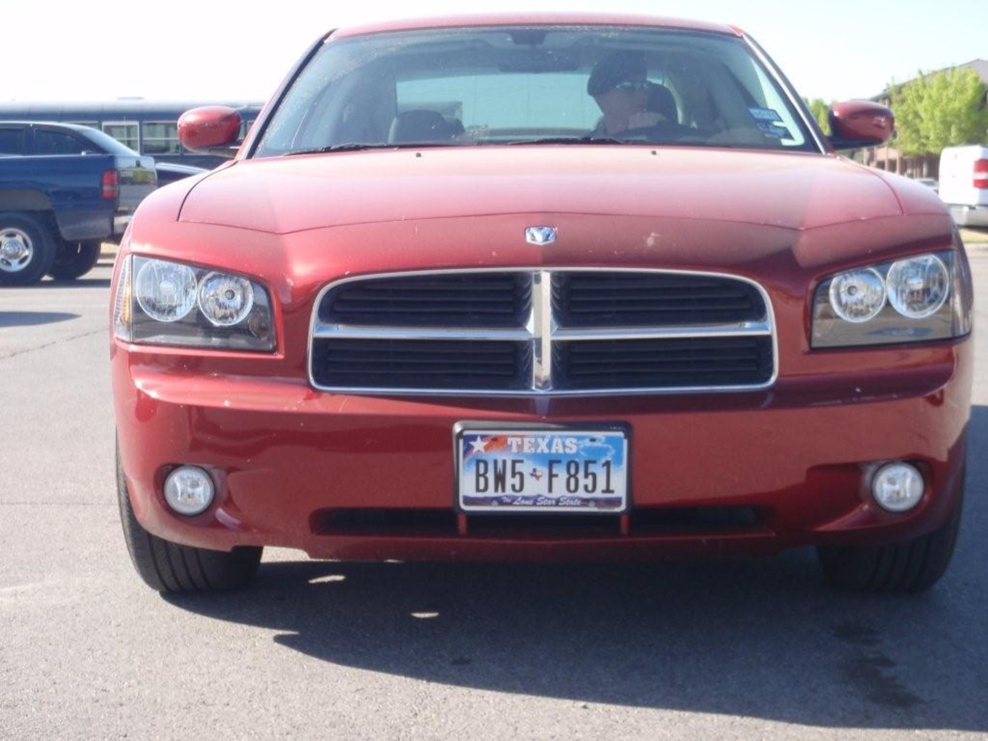 License plate for store front of car