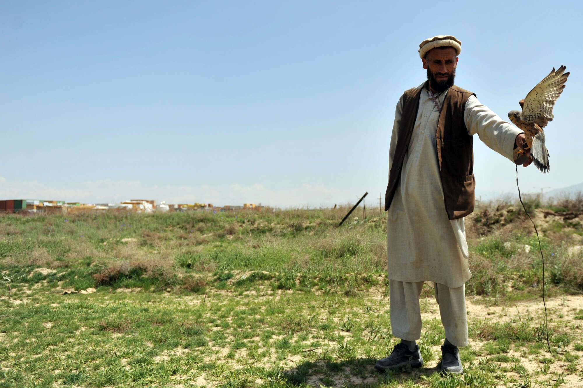 Mr. Mohammed Arif, a local contractor, releases his Common Kestrel to deter birds around the flightline that can potentially cause safety hazards. (U.S. Air Force photo by Senior Airman Sheila deVera)
