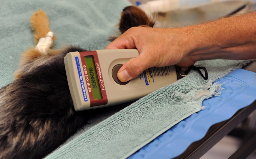 Veterinary Technician Mike Bridges scans a dog for a microchip at the vet clinic on Barksdale Air Force Base, La., April 13. In the event a pet gets lost or runs away, anyone who finds a pet can take the animal to a local vet or animal shelter for the pet to be scanned. Once scanned, the owner would be notified by the veterinarian or from the company that produced the microchip. (U.S. Air Force photo/Airman 1st Class Micaiah Anthony) (RELEASED)