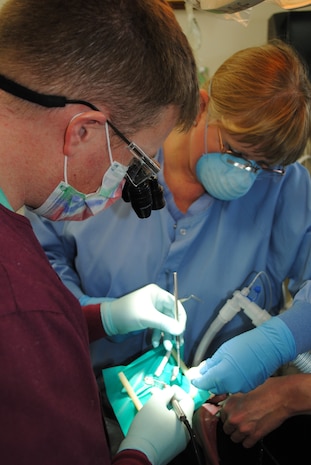 Capt. Clay Jensen, 341st Medical Operations Squadron dentist, performs a root canal on Zsabi, a 2 year-old black male German shepherd, with help from his assistant, dental technician Val Kraenzel.  Military working dog Zsabi was in Salt Lake City receiving a routine dental exam when doctors caught a problem in his tooth.  Without proper equipment to perform the root canal, Zsabi was sent back home, where he is a member of the 341st Security Forces Squadron K-9 unit,  to receive the procedure in the dental clinic here.  An Army veterinarian and veterinary technician were also on hand to perform the anesthesia requirements. (U.S. Air Force photo/Airman Cortney Hansen)