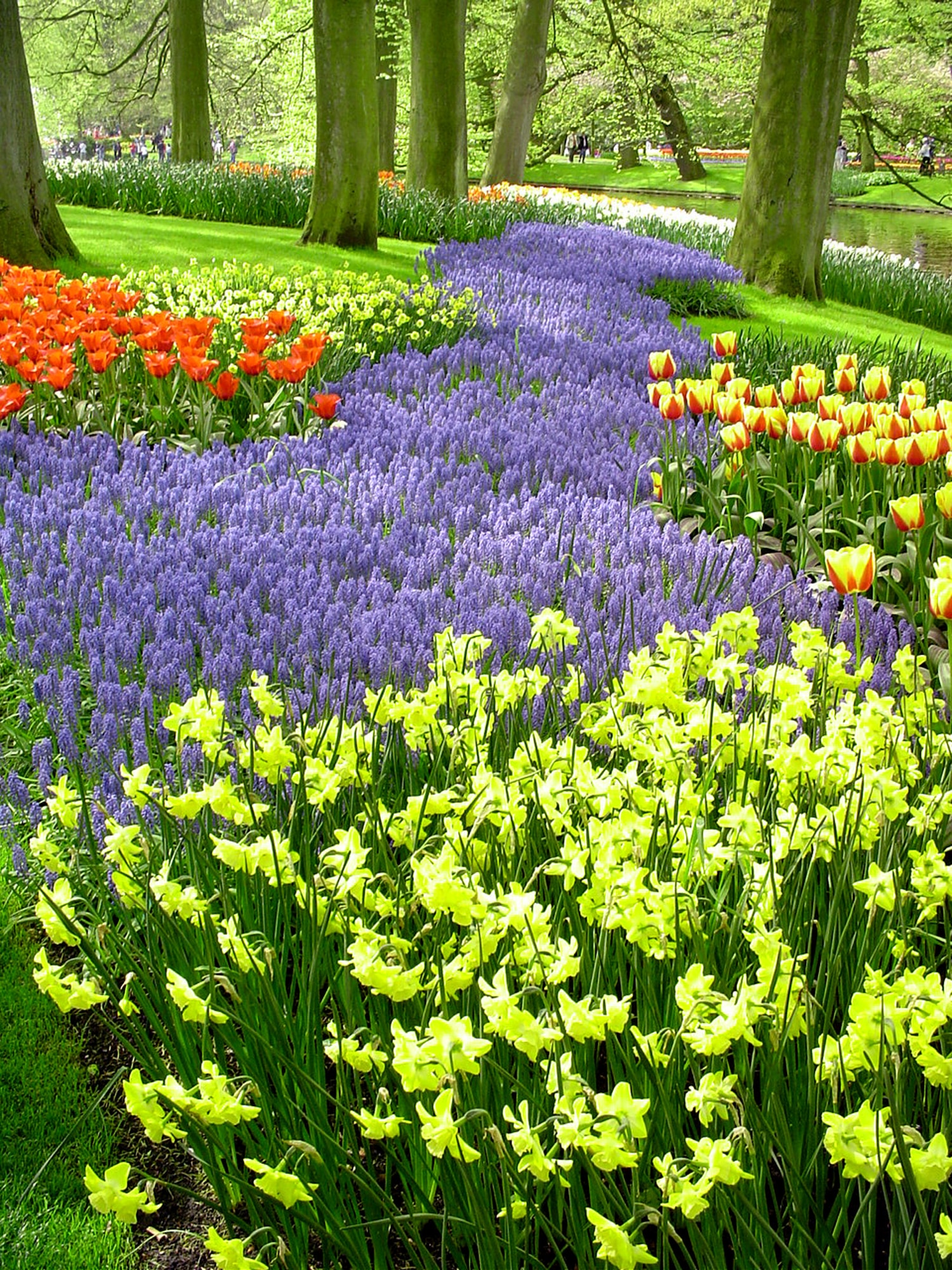 KEUKENHOF, Holland - The park has many different kinds of flowers and theme gardens where flower bulbs play the lead role -- Abstract, Scent, Color, Renaissance, Style, Border and Rockery-Shadow-Water. Every year a number of artists are selected to exhibit some 30 sculptures and other objects of art throughout the park. There are restaurants, sunny terraces and coffee shops available at the Keukenhof, as well as a huge parking lot. Keukenhof has a grand display of 500 different varieties of tulips, daffodils, hyacinths and other bulbs can be seen. An area of 7,000 square meters of greenhouses as a permanent and unique flower show, and a huge indoor spring garden staged throughout the duration of the exhibition are available. (Courtesy photo)