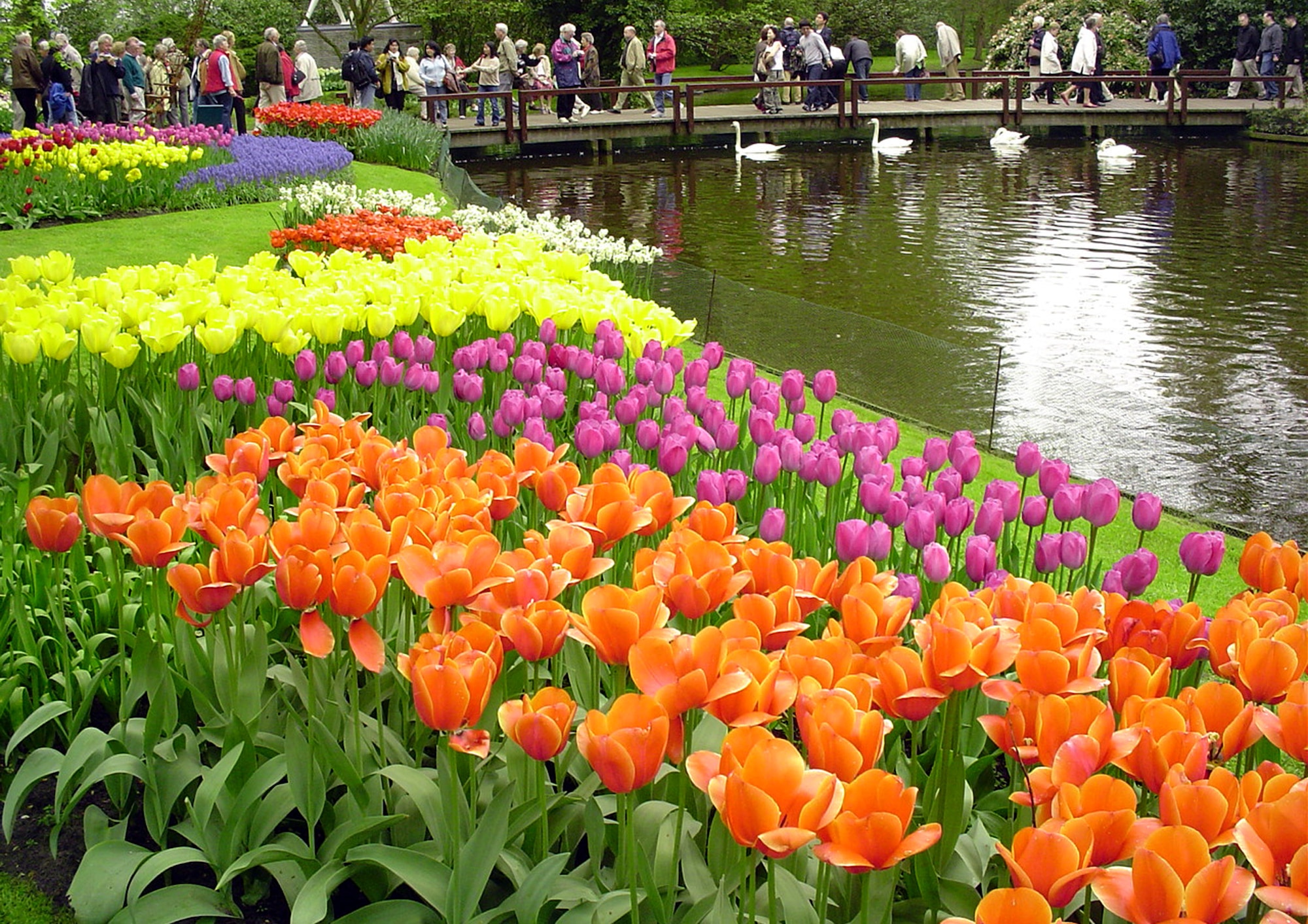 KEUKENHOF, Holland - The park has many different kinds of flowers and theme gardens in which flower bulbs play the lead role -- Abstract, Scent, Color, Renaissance, Style, Border and Rockery-Shadow-Water. Every year a number of artists are selected to exhibit some 30 sculptures and other objects of art throughout the park. There are restaurants, sunny terraces and coffee shops available at the Keukenhof, as well as a huge parking lot. Keukenhof has a grand display of 500 different varieties of tulips, daffodils, hyacinths and other bulbs can be seen. An area of 7,000 square meters of greenhouses as a permanent and unique flower show, and a huge indoor spring garden staged throughout the duration of the exhibition are available. (Courtesy photo)