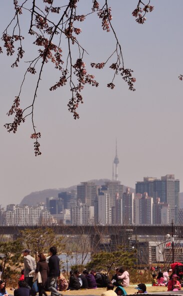Every year more than 4 million people visit the cherry blossom festival in Seoul near the National Assembly Building. This year was no different and these were some of the photos captured by the 51st Fighter Wing Public Affairs office during their day of exploration April 16. (U.S. Air Force photo/Staff Sgt. Chad Thompson)