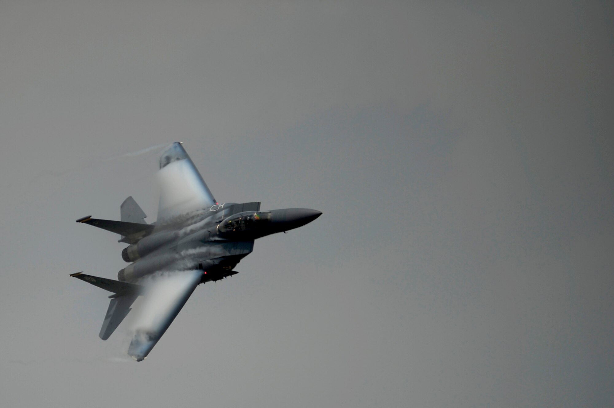 An F-15E Strike Eagle pilot demonstrates the aircraft's maneuverability April 9, 2011, during the Charleston Air Expo at Joint Base Charleston S.C. The F-15E is a multirole fighter capable of air-to-surface and air-to-air combat. (U.S. Air Force photo/Airman 1st Class James Richardson) 