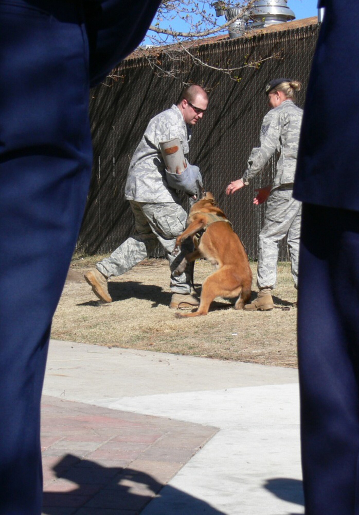 PETERSON AIR FORCE BASE, Colo. – Harrison High School Junior ROTC cadets watch a demonstration, April 12, 2011, by 21st Security Forces Squadron Staff Sergeants Kevin Igo, Gabby Wike and a Military Working Dog, King. The 21st SFS operates the second largest military working dog kennel on a stateside Air Force base with 17 military working dogs, including two new puppies. The dogs are highly trained for drug and bomb searching missions. Harrison High School cadets also toured the 302nd Airlift Wing and the Peterson Air and Space Museum. The tour was an opportunity for them to learn about Air Force history and a variety of Air Force careers. (U.S. Air Force photo/Monica Mendoza)