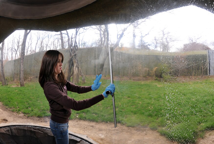 OFFUTT AIR FORCE BASE, Neb.- Katie Kost, daughter of Senior Master Sgt. Dawn and Chief Master Sgt. Joe Kost, takes on the task of cleaning the waving glass of the Hubbard Gorilla Valley as part of the Henry Doorly Zoo's annual spring cleanup, April 16.  Maintenance of the exhibits is an annual chore performed by Offutt volunteers as part of the annual zoo cleanup event every spring. U.S. Air Force Photo by Josh Plueger (released)
