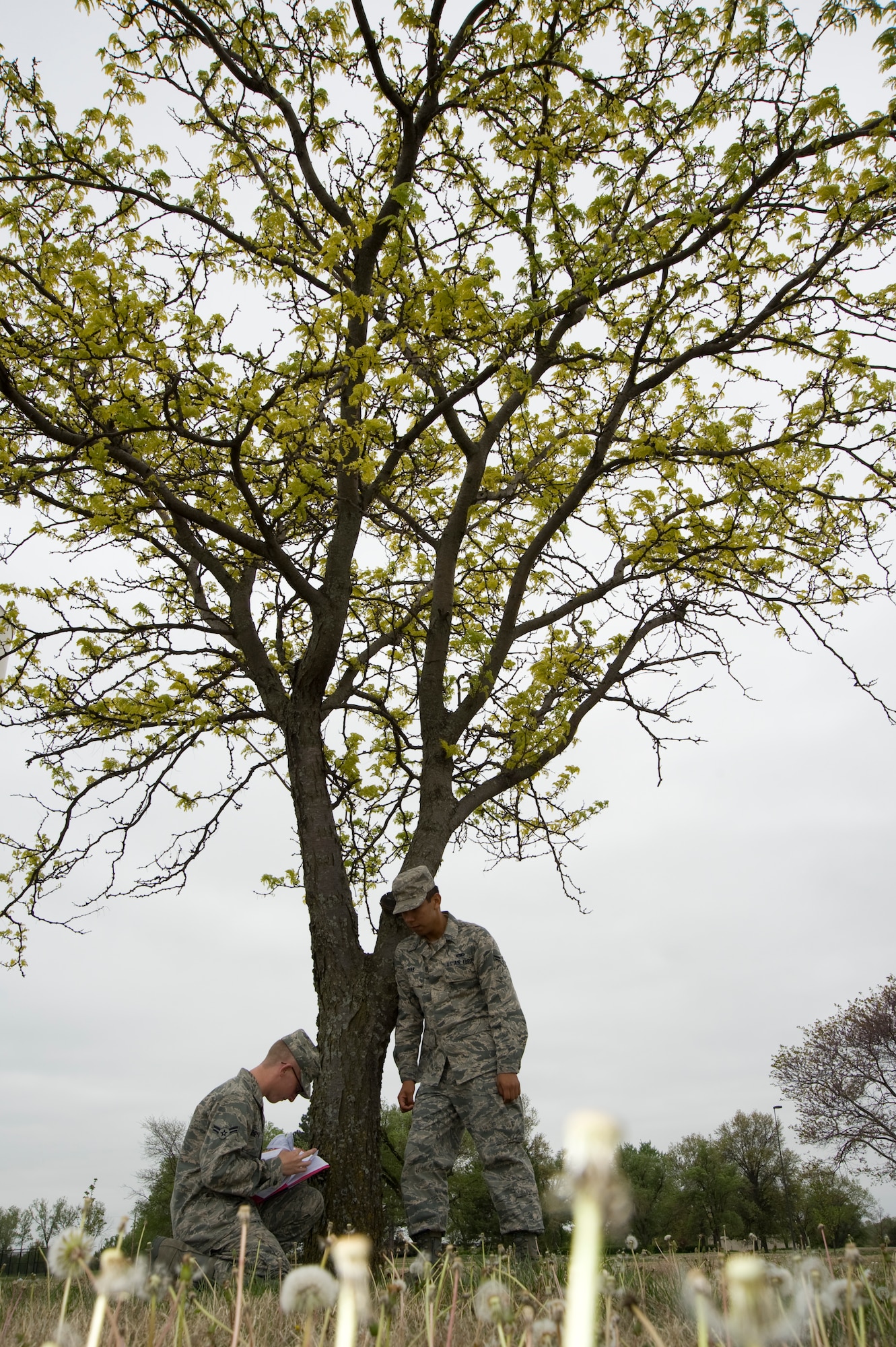 Two of McConnell’s Airmen take a break next to a Yellow Shingle Oak, Quercus imbricaria, April 19, 2011, McConnell Air Force Base, Kan. On April 27 and 29 McConnell will take time to recognize the contributions made by trees during Arbor Day ceremonies. (U.S. Air Force photo/Airman 1st Class Armando A. Schwier-Morales)