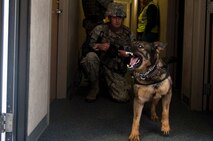 MINOT AIR FORCE BASE N.D. -- Staff Sgt. Randy Akin, 5th Security Forces Squadron military dog handler, checks and clears rooms in the 5th Civil Engineer Squadron’s fire department during an active shooter exercise here April 19. This exercise scenario is designed to evaluate the base's implementation of force protection condition response measures as well as test the readiness and effectiveness of emergency response units. (U.S. Air Force photo/ Airman 1st Class Aaron-Forrest Wainwright)