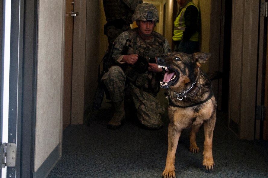 MINOT AIR FORCE BASE N.D. -- Staff Sgt. Randy Akin, 5th Security Forces Squadron military dog handler, checks and clears rooms in the 5th Civil Engineer Squadron’s fire department during an active shooter exercise here April 19. This exercise scenario is designed to evaluate the base's implementation of force protection condition response measures as well as test the readiness and effectiveness of emergency response units. (U.S. Air Force photo/ Airman 1st Class Aaron-Forrest Wainwright)