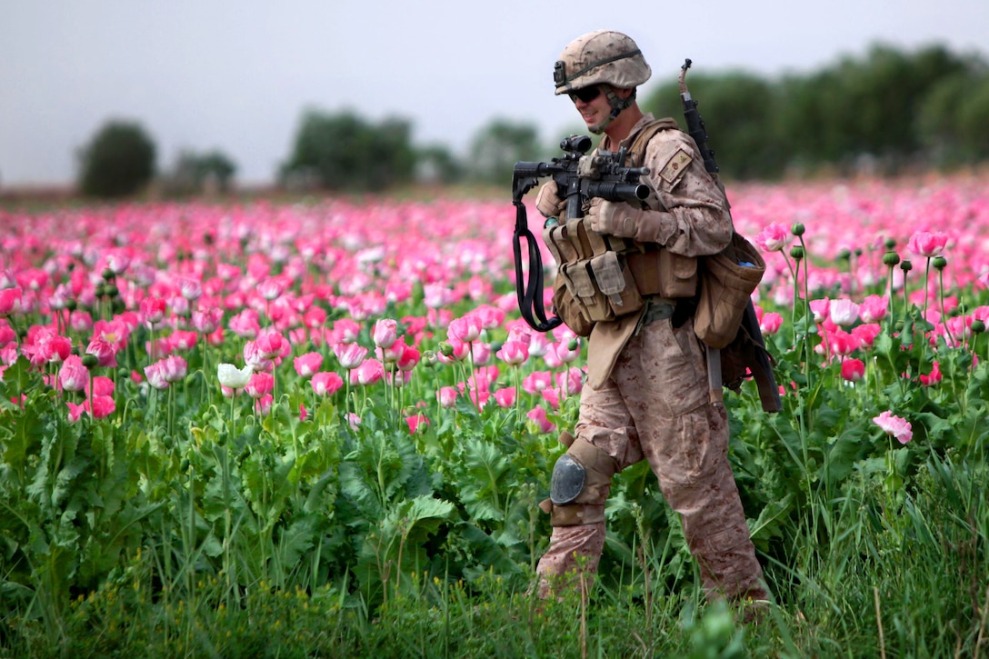 U.S. Marine Corps Corporal Mark Hickok patrols through a field during a clearing mission in Marja in Afghanistan's Helmand province, April 9, 2011. Hickok, a combat engineer, is assigned to the 1st Combat Engineer Battalion.