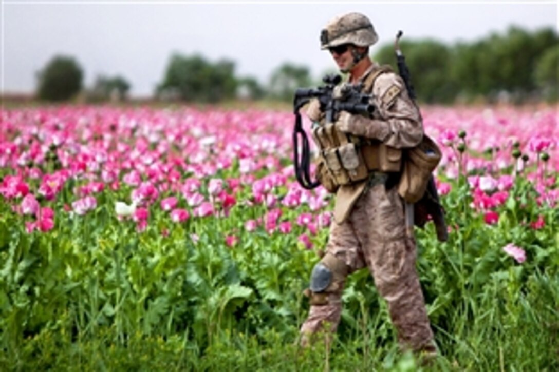 U.S. Marine Corps Corporal Mark Hickok patrols through a field during a clearing mission in Marja in Afghanistan's Helmand province, April 9, 2011. Hickok, a combat engineer, is assigned to the 1st Combat Engineer Battalion.