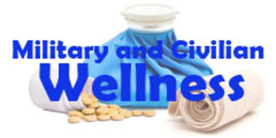 Military and Civilian wellness graphic