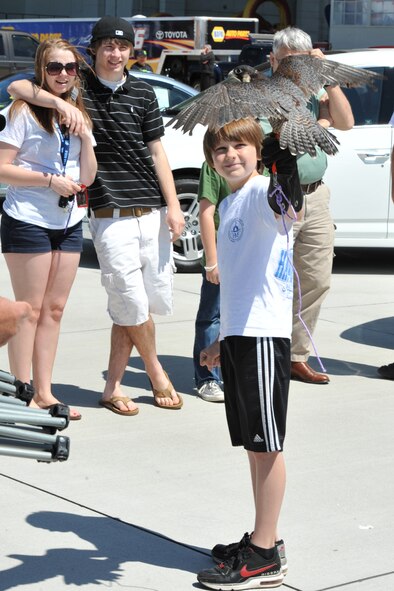 SEYMOUR JOHNSON AIR FORCE BASE, N.C. -- Harrison Gentry shows off a peregrine falcon to a crowd during the Wings Over Wayne Air Show and Open House here, April 17, 2011. Harrison is the son of Chip Gentry, the owner of Hawk Manor Falcony. This was their second air show performance here. (U.S. Air Force photo/Senior Airman Whitney Lambert) (RELEASED)