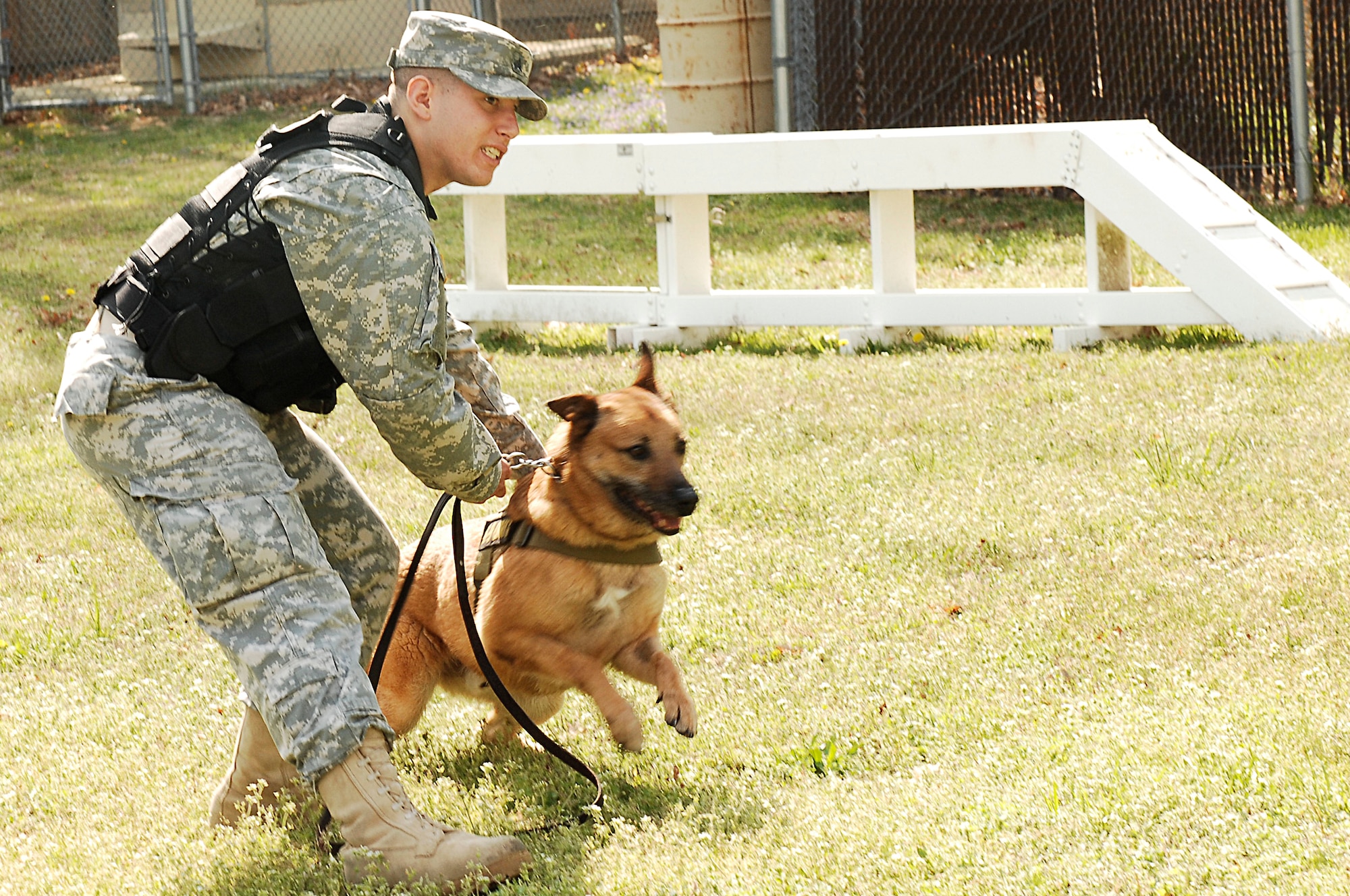 Army Spc. Thomas Diamente, 221st Military Police Detachment, prepares to release Chico, military working dog, during a demonstration at Fort Eustis, Va., April 12, 2011. Fort Eustis military working dogs patrol and maintain safety while supporting select government functions, and deploy to contingency operations. (U.S. Air Force photo by Airman 1st Class Kayla Newman/Released) 
