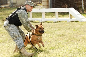 Army Spc. Thomas Diamente, 221st Military Police Detachment, prepares to release Chico, military working dog, during a demonstration at Fort Eustis, Va., April 12, 2011. Fort Eustis military working dogs patrol and maintain safety while supporting select government functions, and deploy to contingency operations. (U.S. Air Force photo by Airman 1st Class Kayla Newman/Released) 