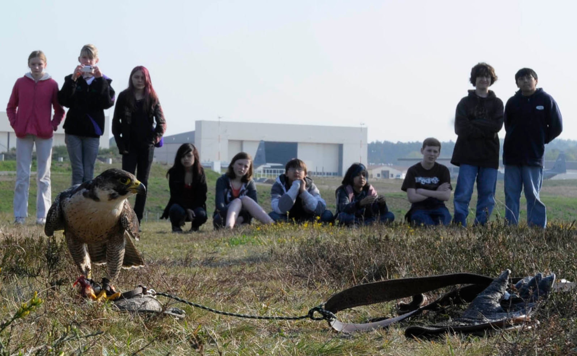 Ramstein Middle School students visit a falconer from the 86th Operations Support Squadron Airfield Management office during a field trip, Ramstein Air Base, Germany, April 21, 2011. The Falconer keeps the flightline safe by using falcons to scare away any animals that could cause damage to an aircraft. (U.S. Air Force photo by Airman Kendra Alba)