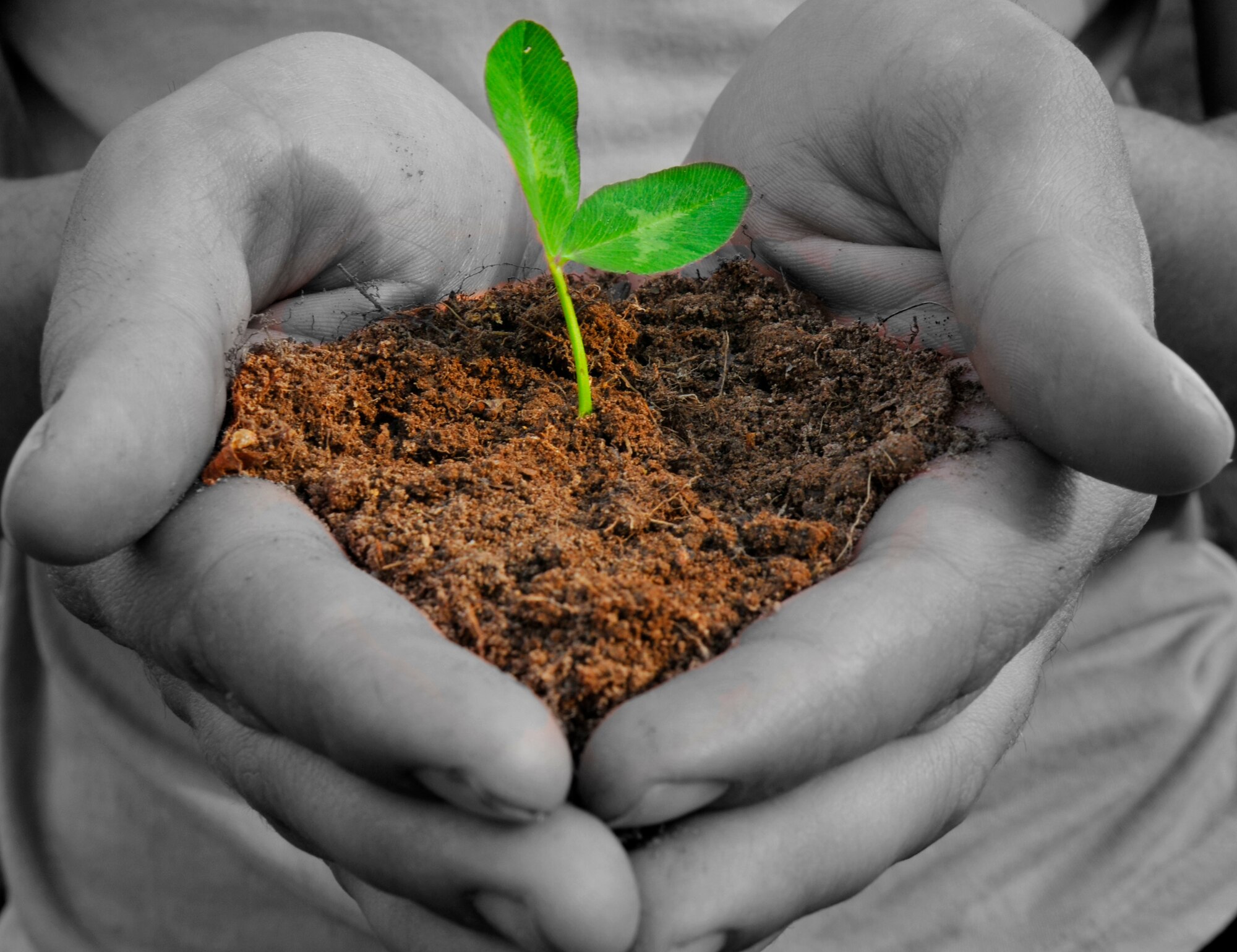 SPANGDAHLEM AIR BASE, Germany -- April is designated as Earth month. Sabers here are working to make the world a cleaner place, starting with Spangdahlem Air Base. (U.S. Air Force photo illustration/Airman 1st Class Brittney Frees)