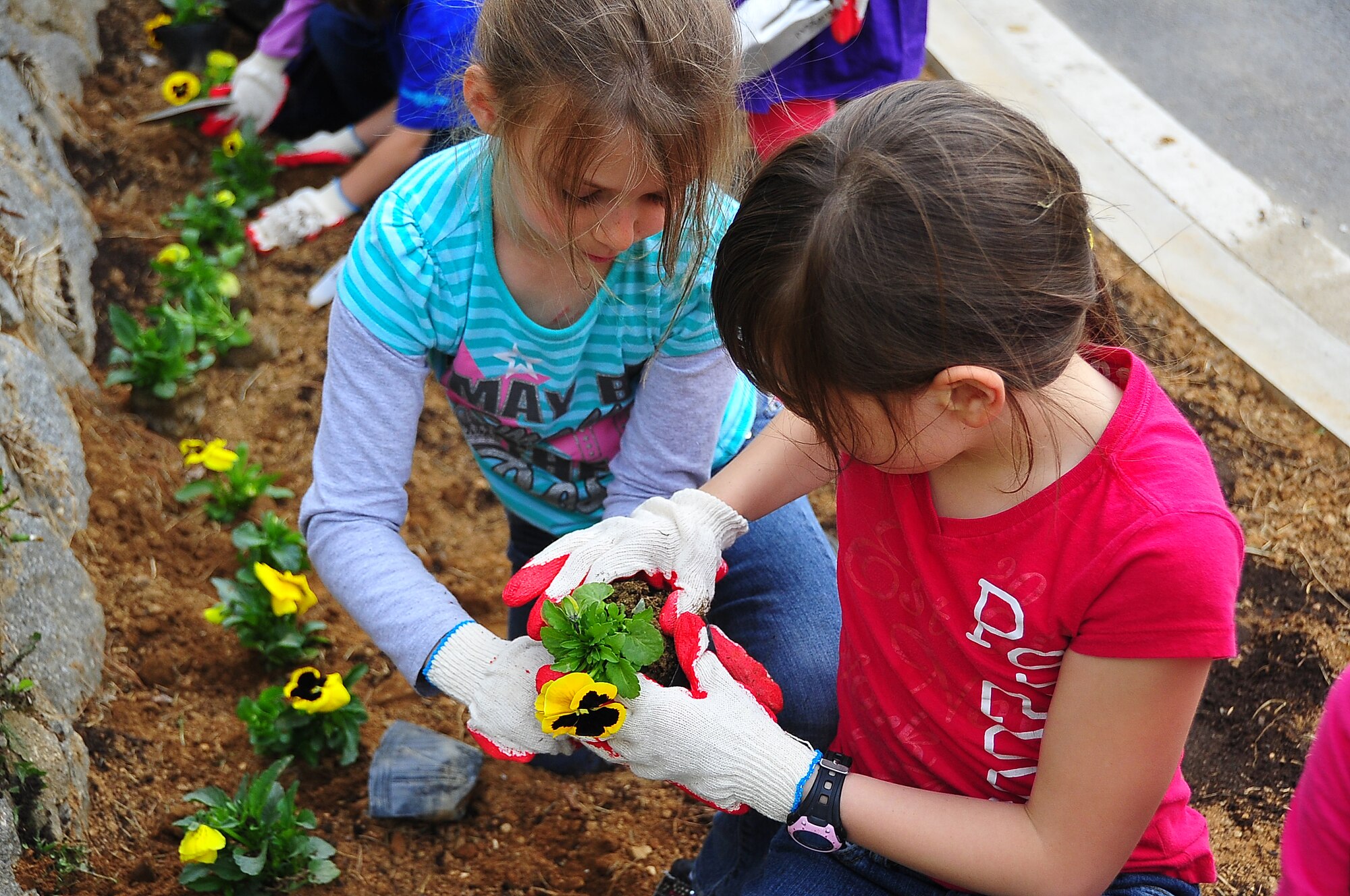 Osan Girl Scouts honored Arbor day/Earth Day by planting 200 yellow pansies and 10 evergreen trees here April 21.  Before the planting, each scout received a brief on the history behind Arbor/Earth Day and the importance of its celebration. The flowers and trees were planted near the elementary school's drop off zone.  (U.S. Air Force photo/Staff Sgt. Daylena Gonzalez)