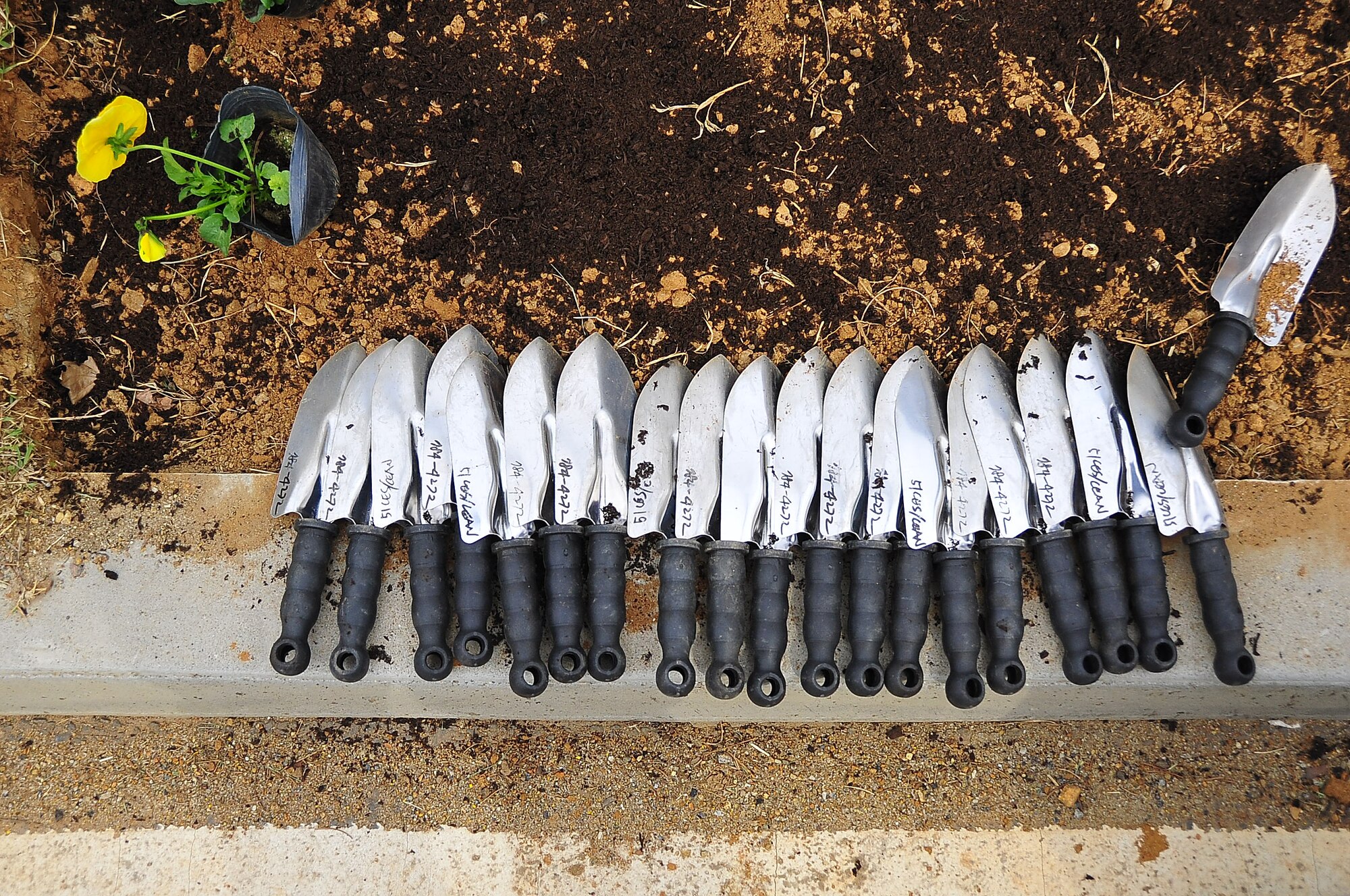 Osan Girl Scouts honored Arbor day/Earth Day by planting 200 yellow pansies and 10 evergreen trees here April 21.  Before the planting, each scout received a brief on the history behind Arbor/Earth Day and the importance of its celebration. The flowers and trees were planted near the elementary school's drop off zone.  (U.S. Air Force photo/Staff Sgt. Daylena Gonzalez)