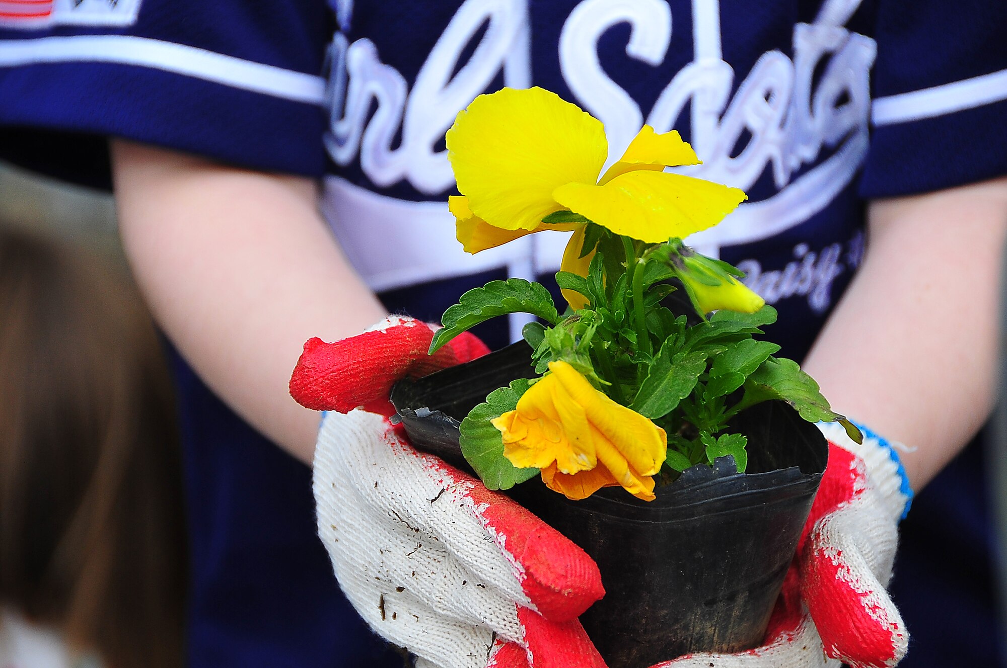 Osan Girl Scouts honored Arbor day/Earth Day by planting 200 yellow pansies and 10 evergreen trees.  Before the planting, each scout recieved a brief on the history behind Arbor/Earth Day and the importance of it's celebration. The flowers and trees were planted near the elementary school's drop off zone.  (U.S. Air Force photo/Staff Sgt. Daylena Gonzalez)