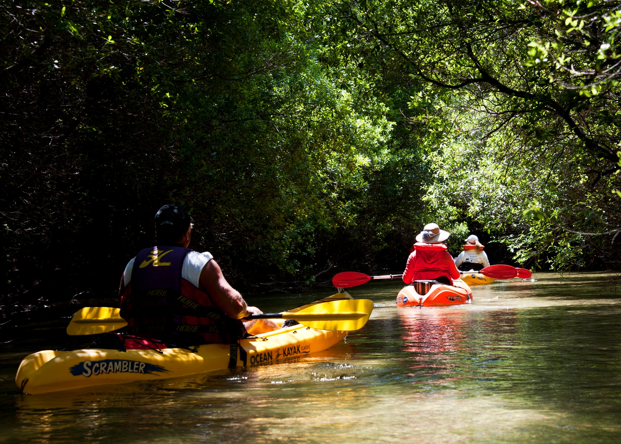 Kayakers pass underneath the tree canopy that encloses portions of Turkey Creek April 21.  The second annual kayak tour, part of four days of trips, took 10 people down Turkey Creek deep within the Eglin range. The scenic tour showed off Eglin’s unique wild and plant life. The tour closed out Eglin’s week-long Earth Day celebration.  The kayaks were donated by Eglin's Outdoor Recreation for each day of the trip.  (U.S. Air Force photo/Samuel King Jr.)